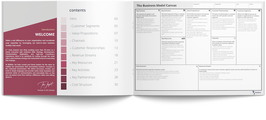 Fundamentally Business model Canvas, Bizibite. Tim Joynt